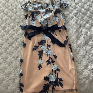 Beautiful Adrianna Papell dress size 8p